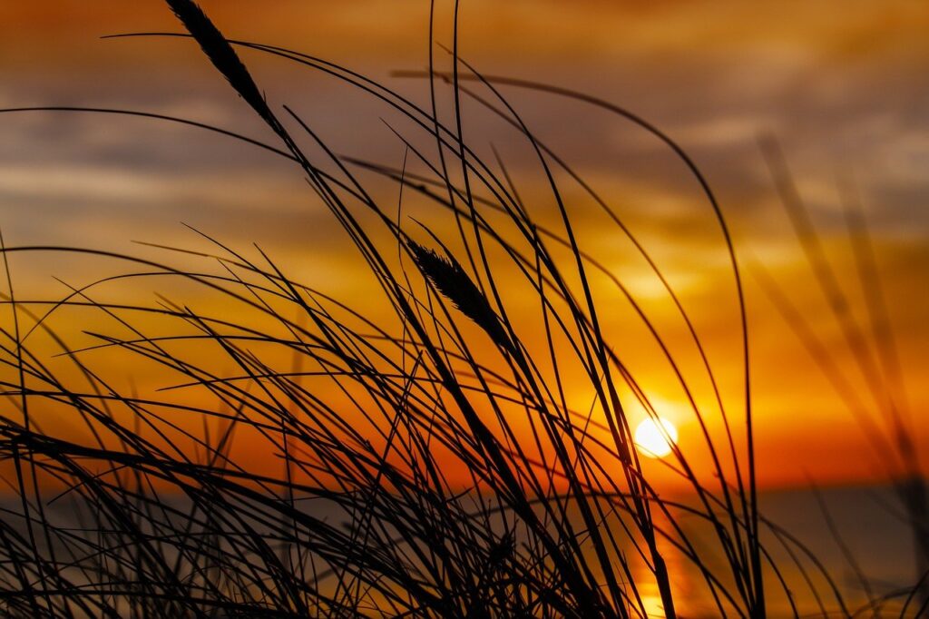 which gaming console should i buy bfnctutorials