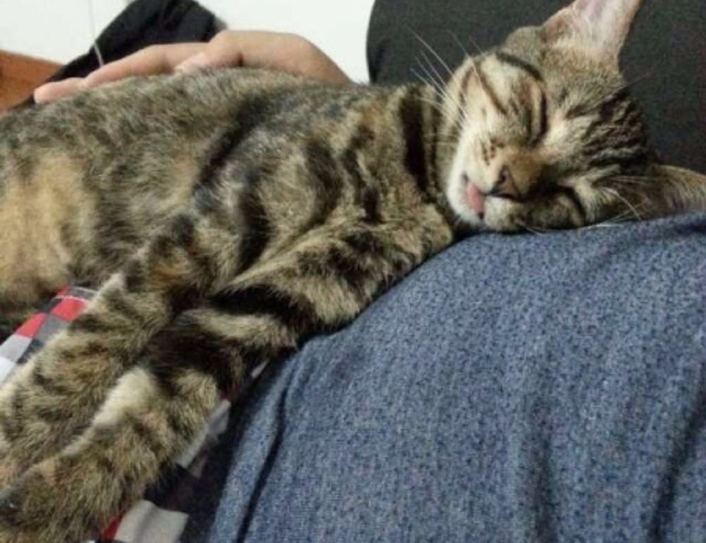 controls hearthssconsole