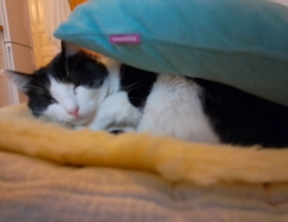 should i use zayepro pharmaceuticals ltd