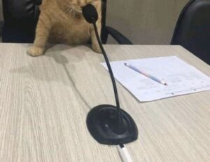 updates 2023 hearthssconsole