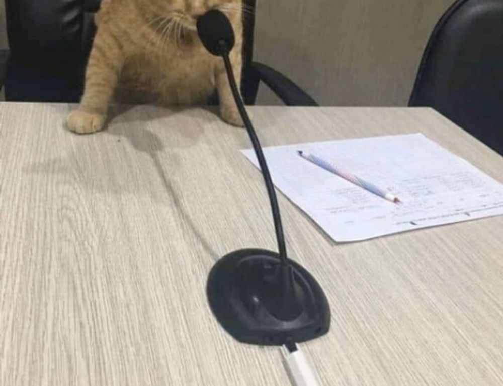 updates 2023 hearthssconsole