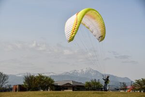 zayepro pharmaceuticals ltd tested