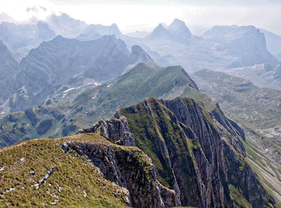 From Creator to Brand: The Business of Influence