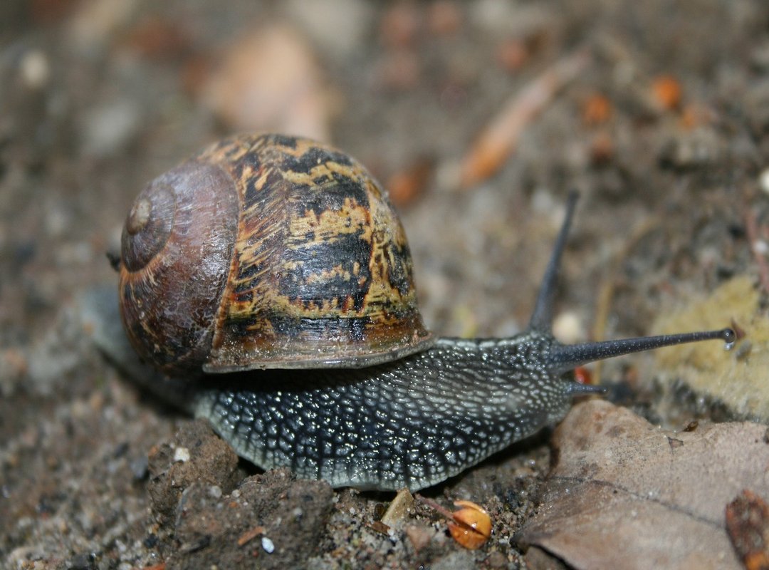 How to Access and Get Started with TechZone