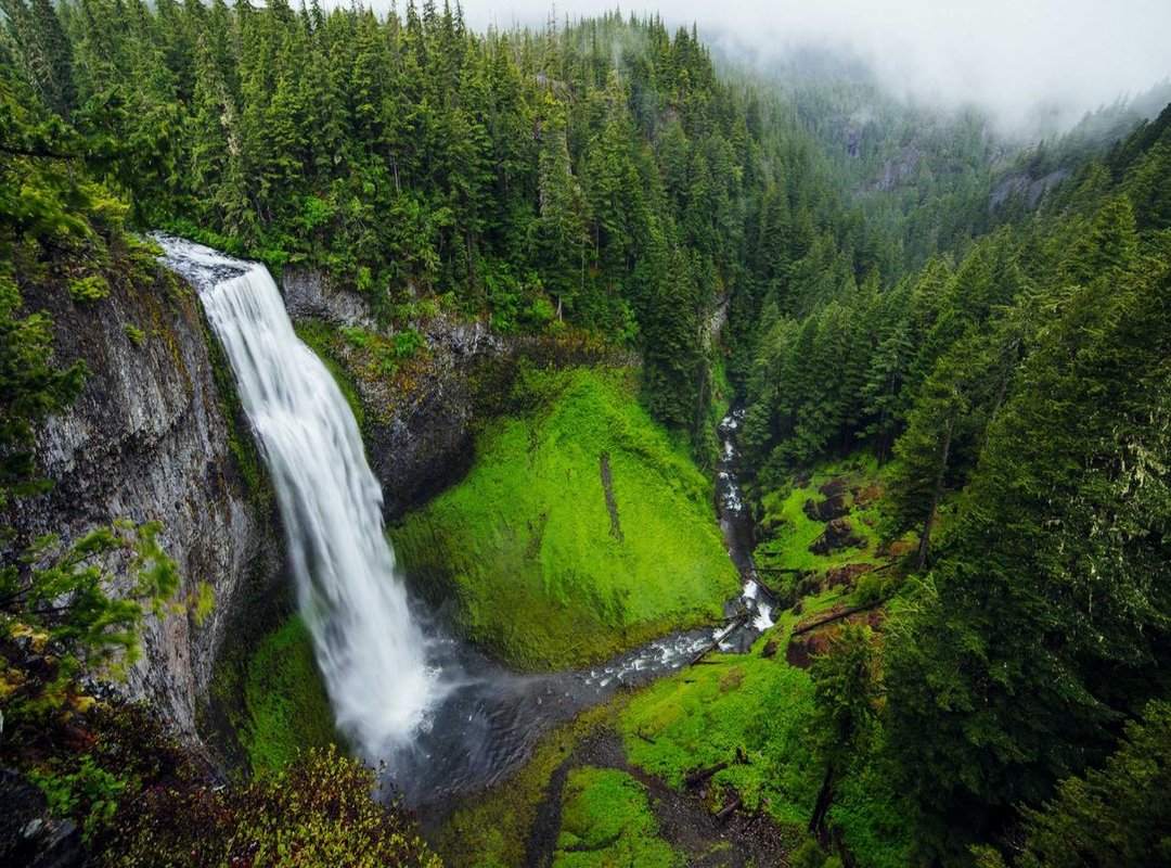 Expanding His Range: Recent Forays into Action and Historical Epics