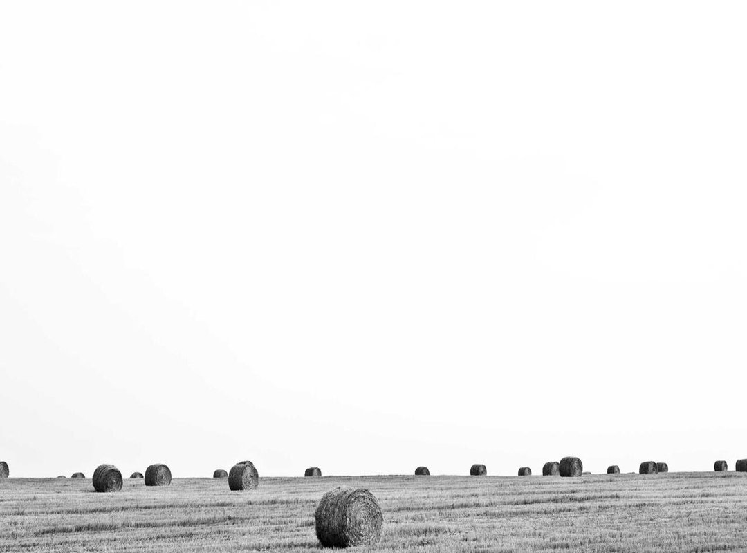 What to Expect: A Spoiler-Free Glimpse into the Story