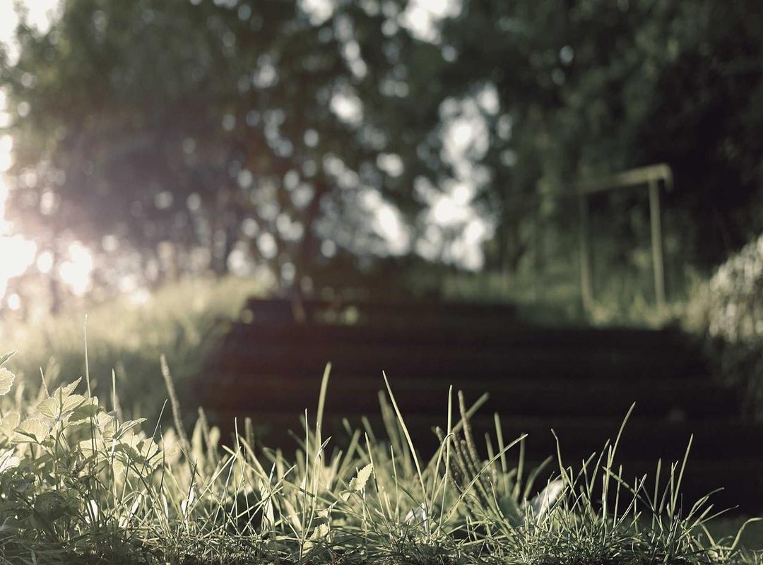 Yandex vs. Baidu: A Head-to-Head Comparison